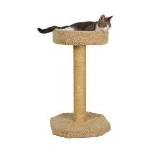 cat tree with bed